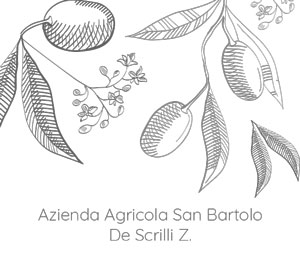 San Bartolo Azienda Agricola