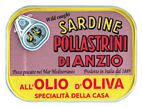 Pollistrini | Sardinen in Olivenöl